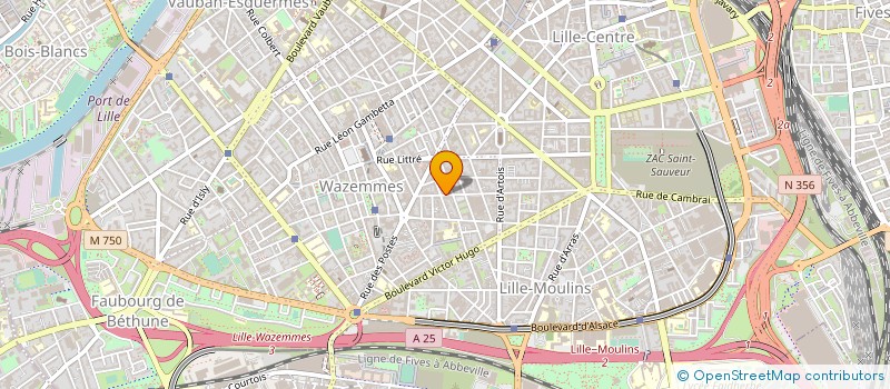 localisation de l'entreprise MADAME SABINE EVRARD à LILLE