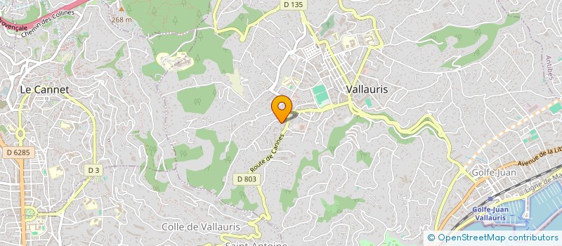 localisation de l'entreprise MADAME SABINE FALZONE  VALLAURIS