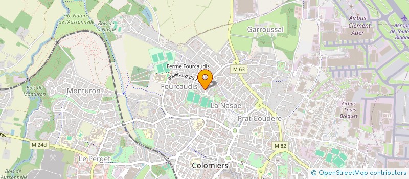 localisation de l'entreprise MADAME SABINE IDRAC à COLOMIERS