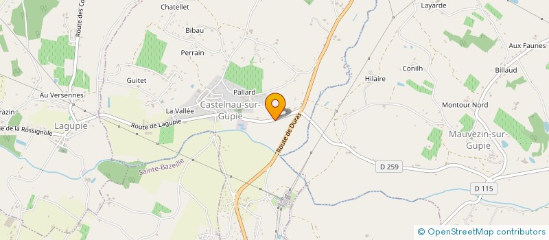 localisation de l'entreprise MADAME SABINE LAFFARGUE  CASTELNAU-SUR-GUPIE