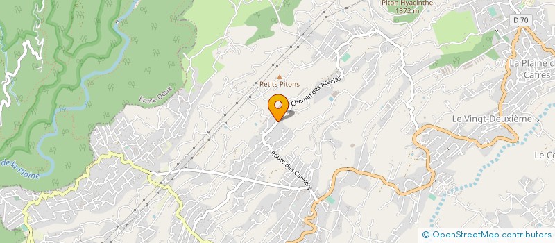 localisation de l'entreprise MADAME SABINE LEGROS  LE TAMPON