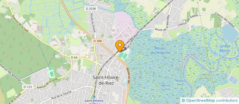 localisation de l'entreprise MADAME SABINE LOISEAU à SAINT-HILAIRE-DE-RIEZ