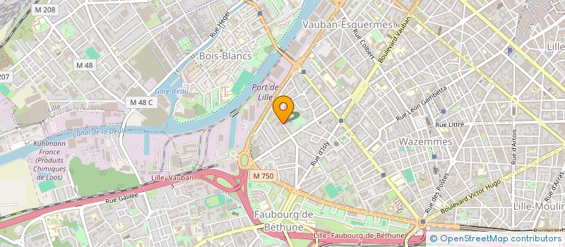 localisation de l'entreprise MADAME SABINE MONTAIGNE à LILLE
