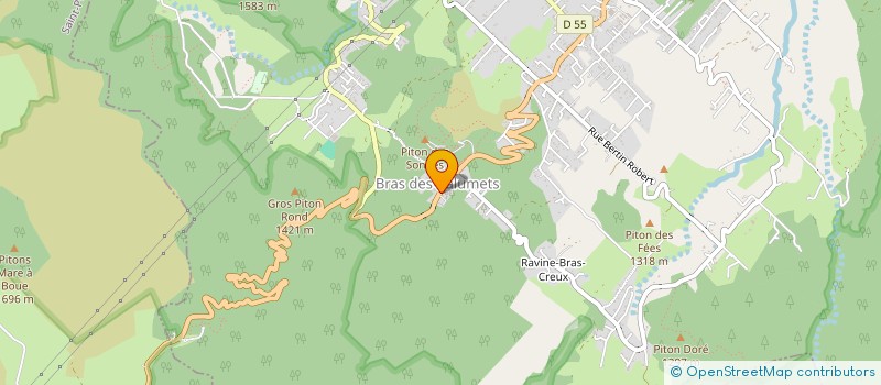 localisation de l'entreprise MADAME SABINE ROBERT  LA PLAINE-DES-PALMISTES