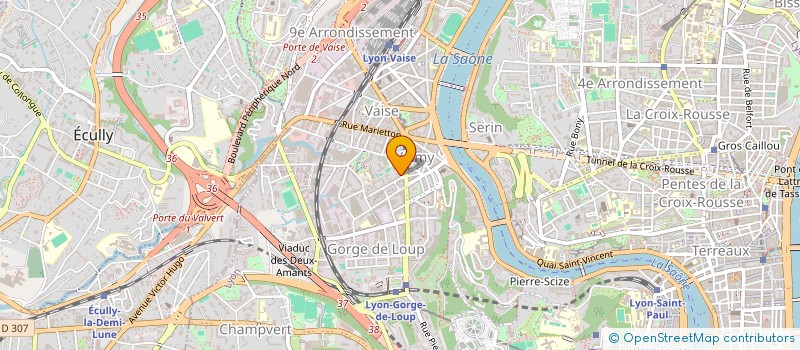 localisation de l'entreprise MADAME SABINE SALLIER à LYON