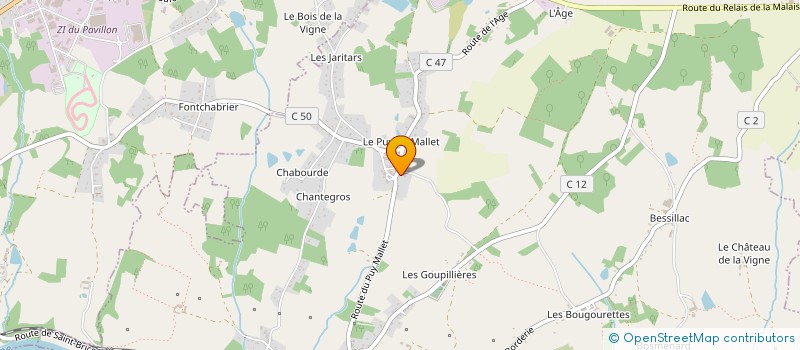 localisation de l'entreprise MADAME SABINE THOYER  SAINT-BRICE-SUR-VIENNE