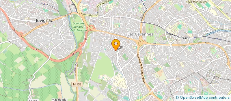 localisation de l'entreprise MADAME SABRINA BORNAIS à MONTPELLIER
