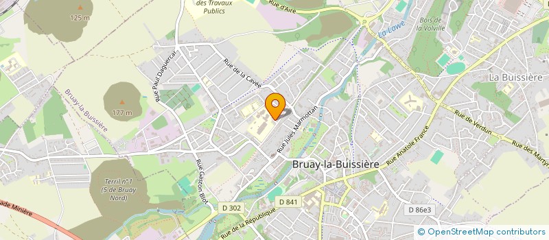 localisation de l'entreprise MADAME SABRINA DELHOMMEL  BRUAY-LA-BUISSIERE