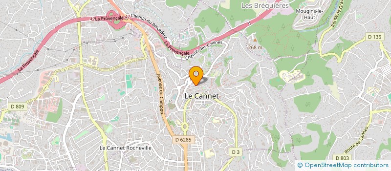 localisation de l'entreprise MADAME SABRINA DONCU à LE CANNET