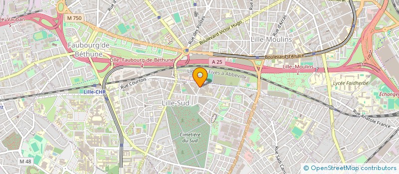 localisation de l'entreprise MADAME SABRINA FOULON  FACHES-THUMESNIL