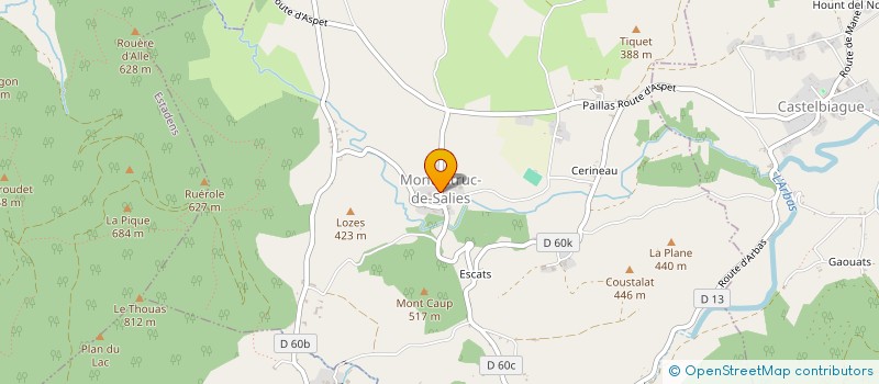 localisation de l'entreprise MADAME SABRINA GROS-DUBOIS  MONTASTRUC-DE-SALIES