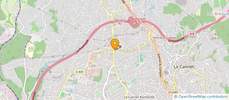 localisation de l'entreprise MADAME SABRINA RACHERACHE à LE CANNET