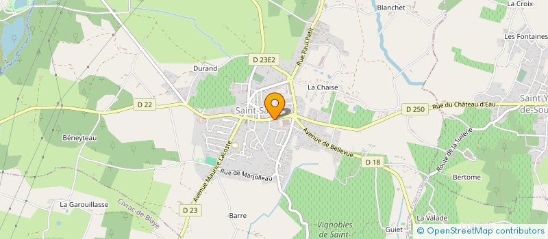 localisation de l'entreprise MADAME SABRINA SALVINA  SAINT-SAVIN