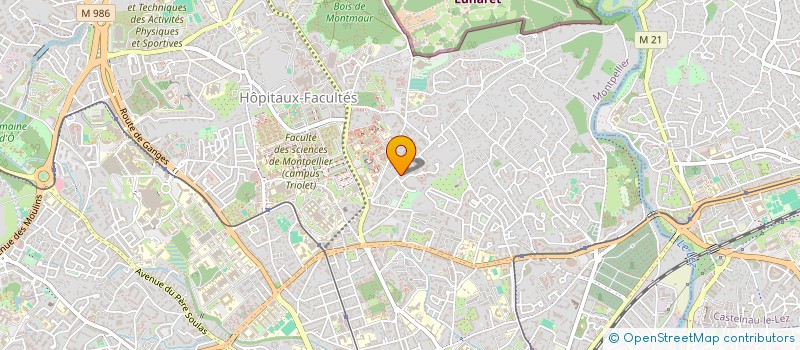 localisation de l'entreprise MADAME SABRINA SAVIDAN à MONTPELLIER