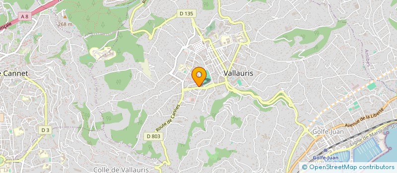 localisation de l'entreprise MADAME SABRINA VIEUXBLED à VALLAURIS