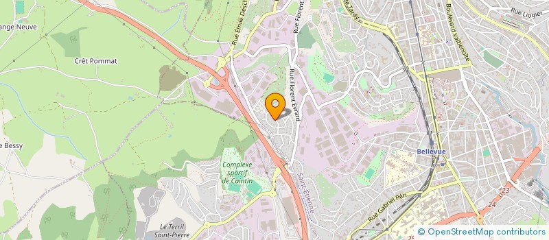 localisation de l'entreprise MADAME SACHA BERNIER  SAINT-ETIENNE