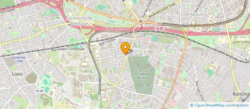 localisation de l'entreprise MADAME SAFA TOUALBIA à LILLE