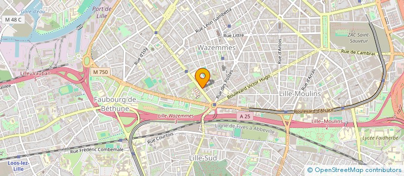 localisation de l'entreprise MADAME SAFAA OUADIF à LILLE