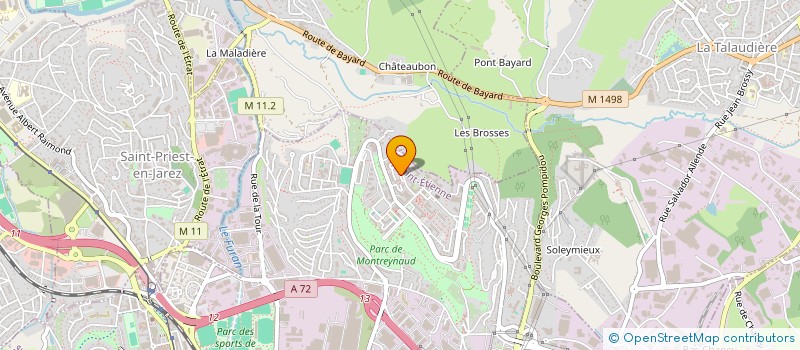 localisation de l'entreprise MADAME SAFIA AMRANE à SAINT-ETIENNE