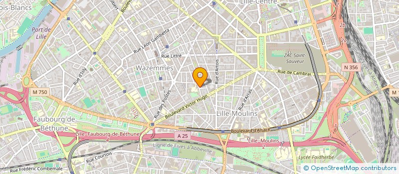 localisation de l'entreprise MADAME SAFIA CHAABI à LILLE