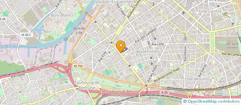 localisation de l'entreprise MADAME SAFIA DOUHABI à LILLE