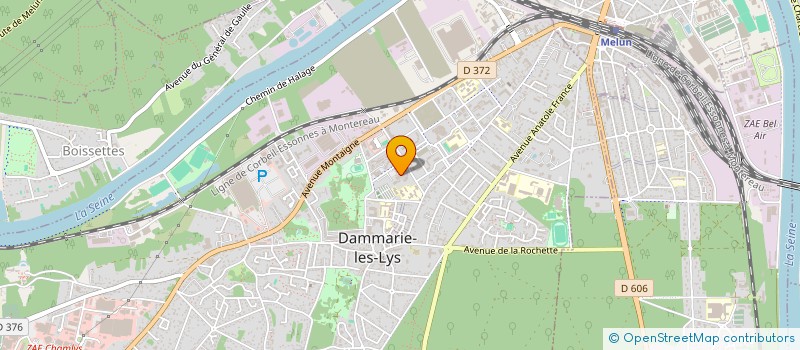 localisation de l'entreprise MADAME SAFOURA CHENINE à DAMMARIE-LES-LYS