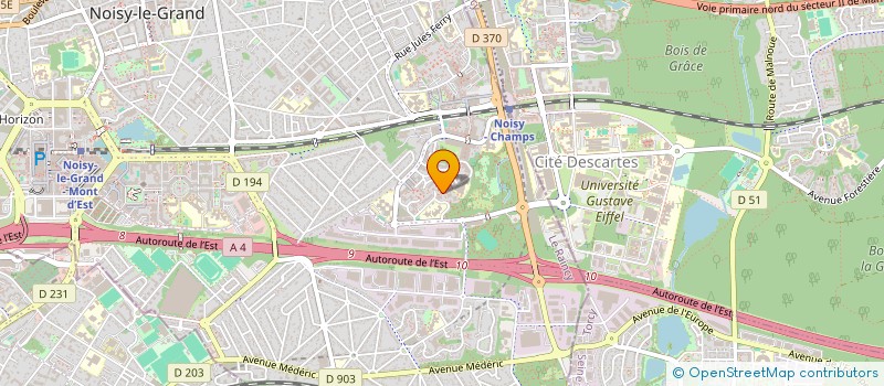 localisation de l'entreprise MADAME SAFYATOU DIARRA  NOISY-LE-GRAND