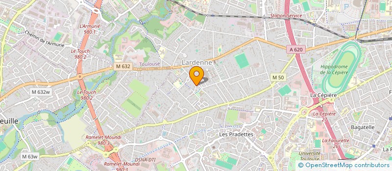 localisation de l'entreprise MADAME SAID ZAREB  TOULOUSE