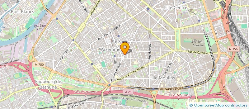 localisation de l'entreprise MADAME SAIDA LAOUAR à LILLE