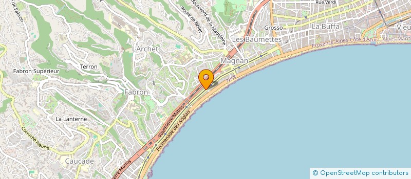 localisation de l'entreprise MADAME SAIDA USTRAHANOV  NICE