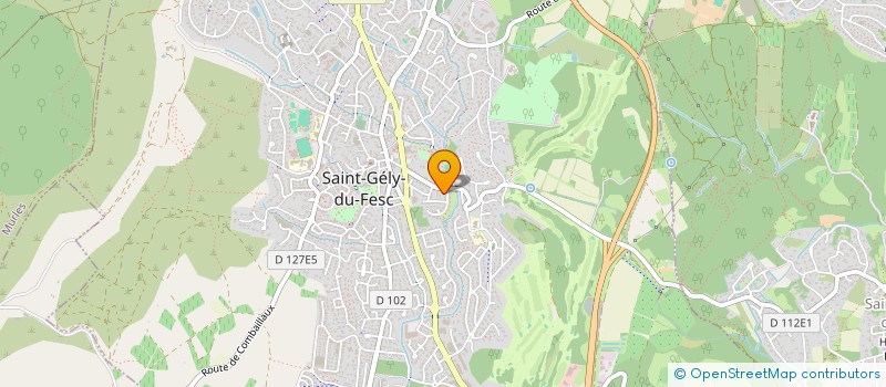 localisation de l'entreprise MADAME SAIFON ANTHATHAN à SAINT-GELY-DU-FESC