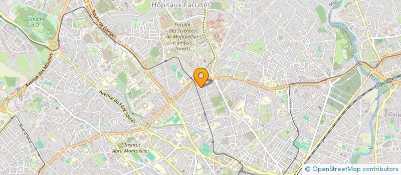 localisation de l'entreprise MADAME SALIHA CHEPPIH à MONTPELLIER