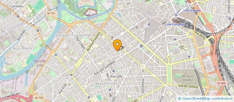 localisation de l'entreprise MADAME SALIMA MANICHE à LILLE