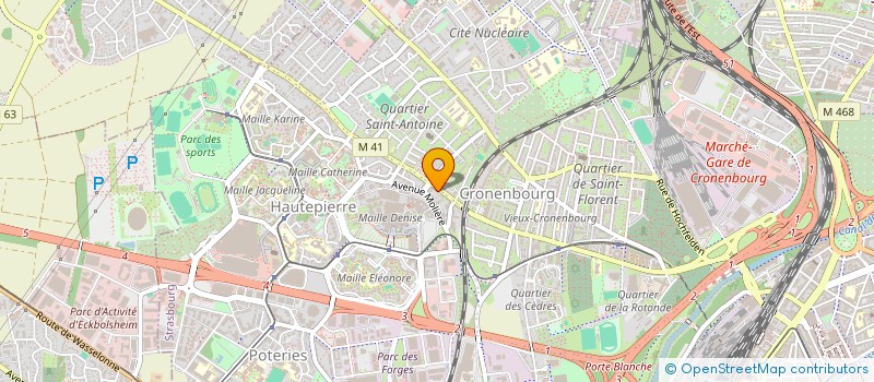 localisation de l'entreprise MADAME SALMA AMMARI  STRASBOURG