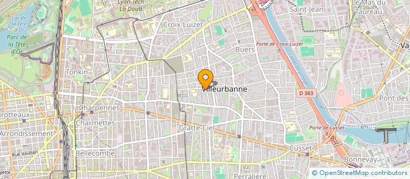 localisation de l'entreprise MADAME SALMA CHAOUNI  VILLEURBANNE