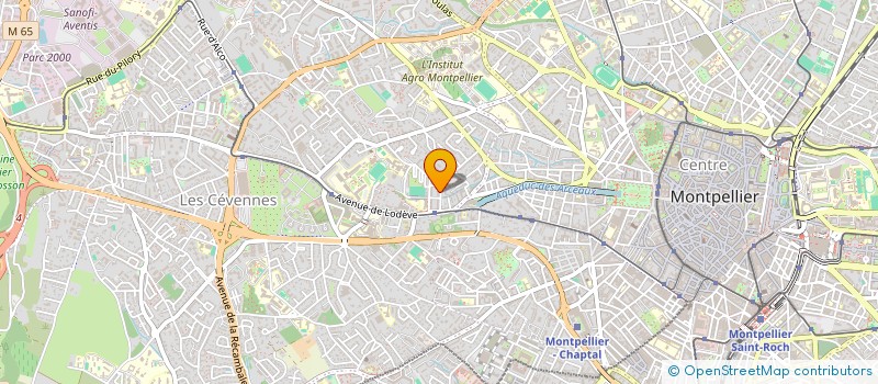 localisation de l'entreprise MADAME SALMA CHERKTI à MONTPELLIER