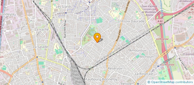 localisation de l'entreprise MADAME SALMA CHOUTANY à TOULOUSE