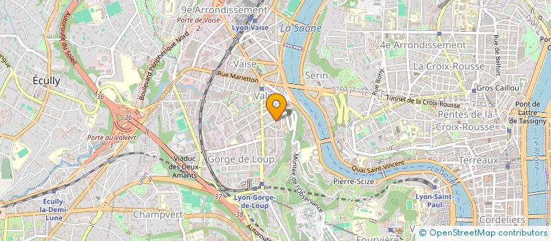 localisation de l'entreprise MADAME SALMA DAKKINA  LYON