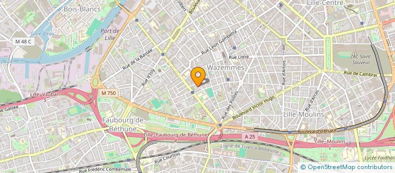 localisation de l'entreprise MADAME SALMA EL HADIYAN  LILLE