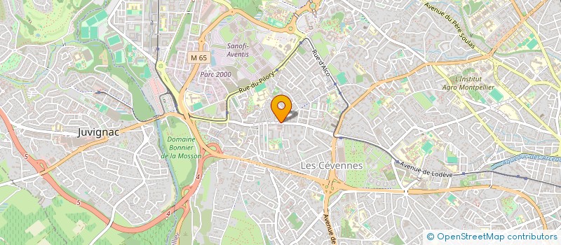 localisation de l'entreprise MADAME SALMA IDRISSI à MONTPELLIER