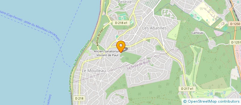 localisation de l'entreprise MADAME SALOME DECHAUD  ARCACHON