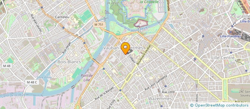 localisation de l'entreprise MADAME SALOME JOREAU  LILLE