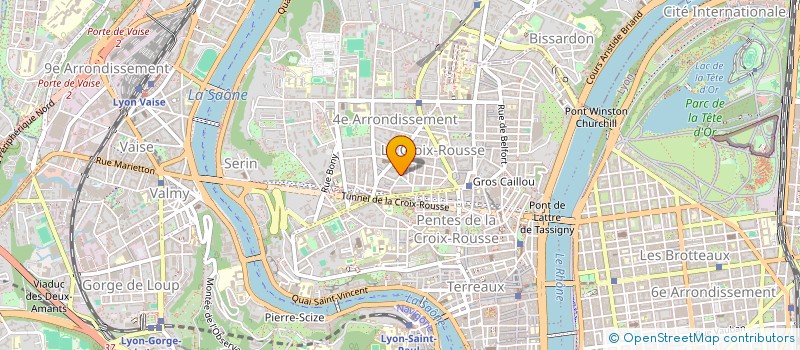 localisation de l'entreprise MADAME SALOME LE MORVAN  LYON