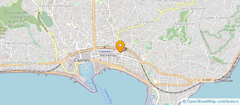 localisation de l'entreprise MADAME SALOME LELLOUCHE  CANNES