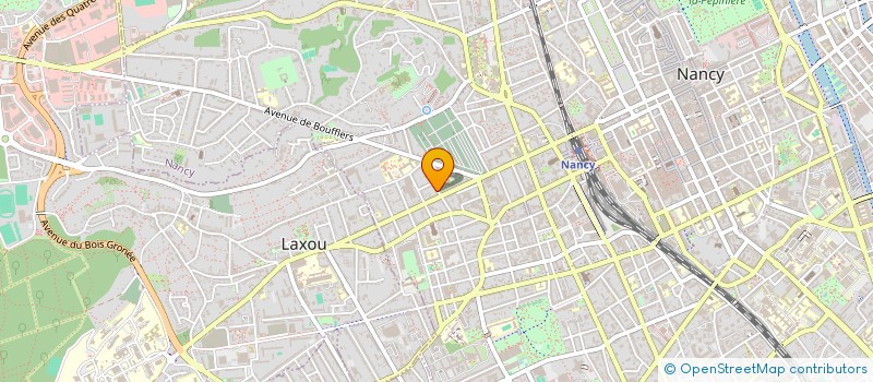 localisation de l'entreprise MADAME SALOME LEPAGE  NANCY