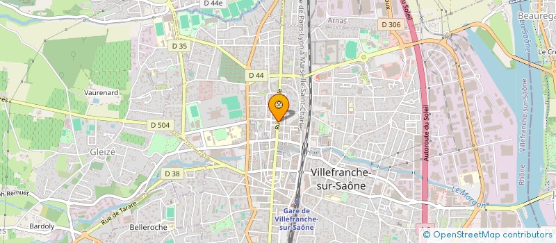 localisation de l'entreprise MADAME SALOME LOCTIN  VILLEFRANCHE-SUR-SAONE