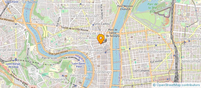 localisation de l'entreprise MADAME SALOMEE ADELINE à LYON