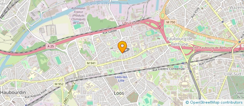 localisation de l'entreprise MADAME SALWA BEN AHMED  LOOS