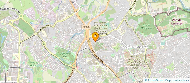 localisation de l'entreprise MADAME SALWA IKANE à MONTPELLIER