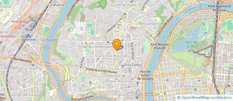 localisation de l'entreprise MADAME SAMIA BOSSARD à LYON